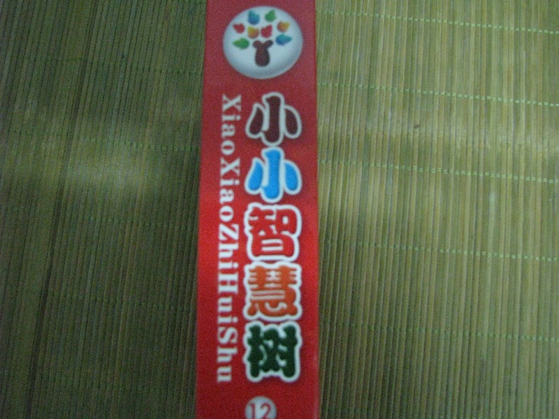 小小智慧樹12（4DVD） 曬單實拍圖