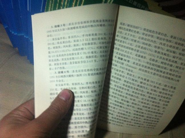 無公害西瓜甜瓜標(biāo)準(zhǔn)化生產(chǎn) 曬單實(shí)拍圖