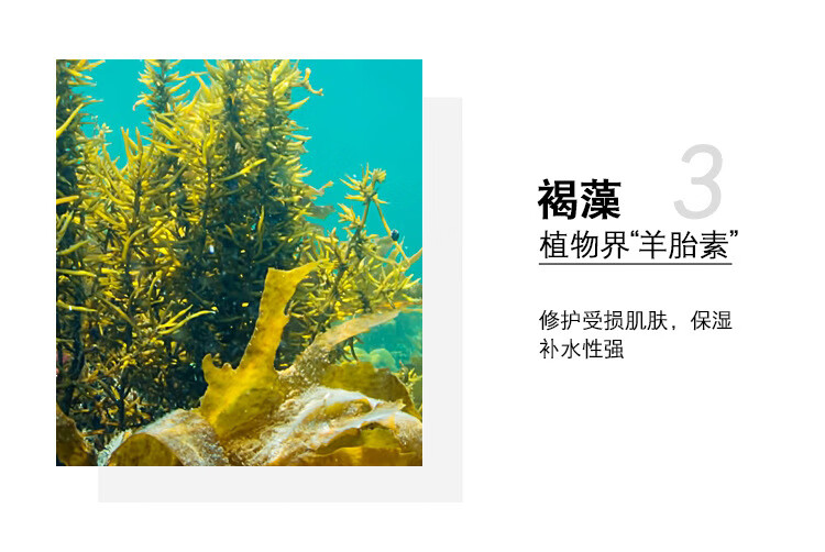 Pinkypinky果酸水杨酸精华液刷收缩酸闭口粉刺黑头毛孔粗大痘印痘坑30ml
