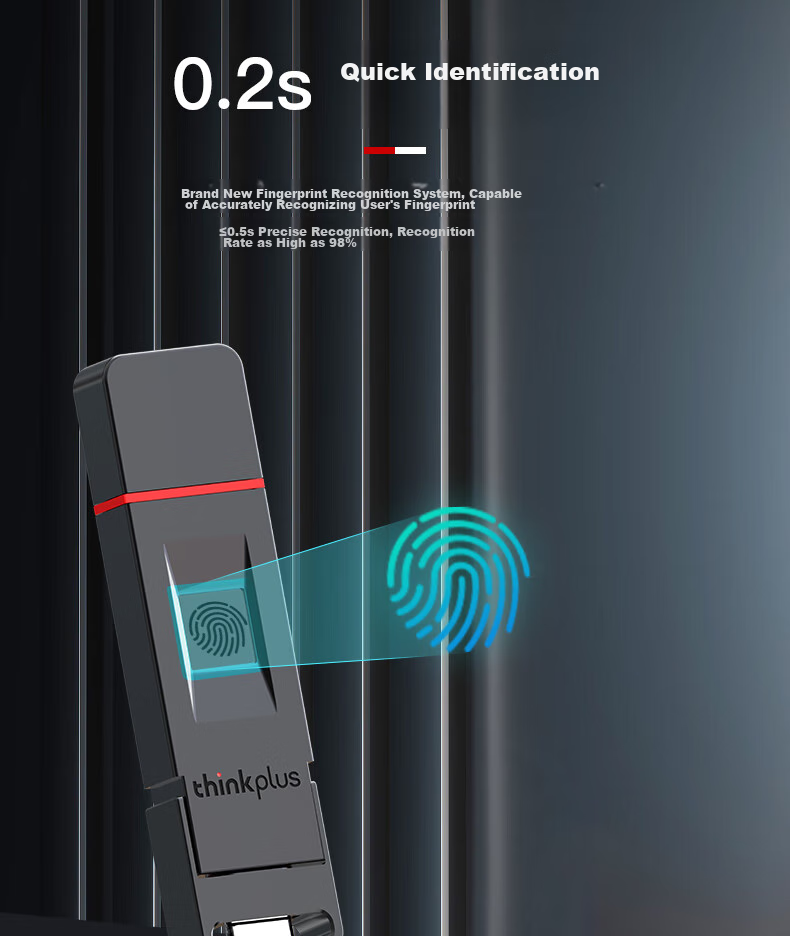 Thinkplus Lenovo 1TB Fingerprint Protection USB Flash Drive, USB3.2 с Type-C Dual Interface, Password Protection, Anti-Leakage, для телефонов и компьютеров, для офиса, серия FU100