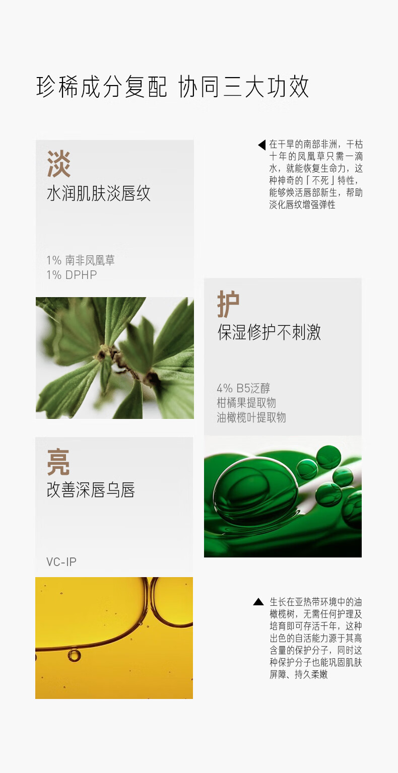 毕生之研咖啡淡纹唇霜去角质唇膏补水保湿淡化唇纹唇部精华润唇膏男女 乳霜版 唇霜 10g