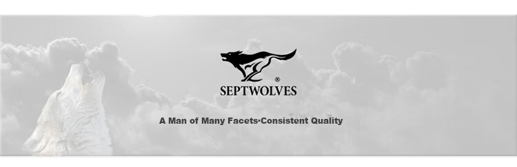 Мужские кроссовки SEPTWOLVES, повседневные, из натуральной кожи, белые с серым, размер 41