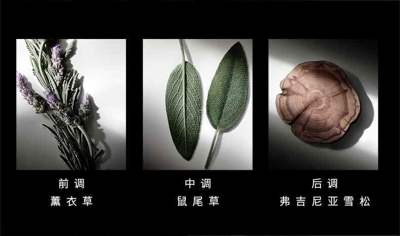 拉夫劳伦（Ralph lauren）【肖战同款】俱乐部男士香水30ml礼盒生日新年礼物送老公男朋友