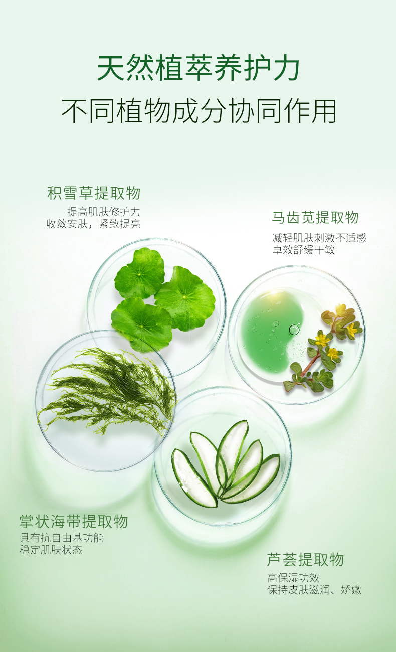 透蜜温泉补水喷雾 保湿爽肤水化妆水细致毛孔舒缓呵护敏感肌护肤品 积雪草喷雾300ml*3