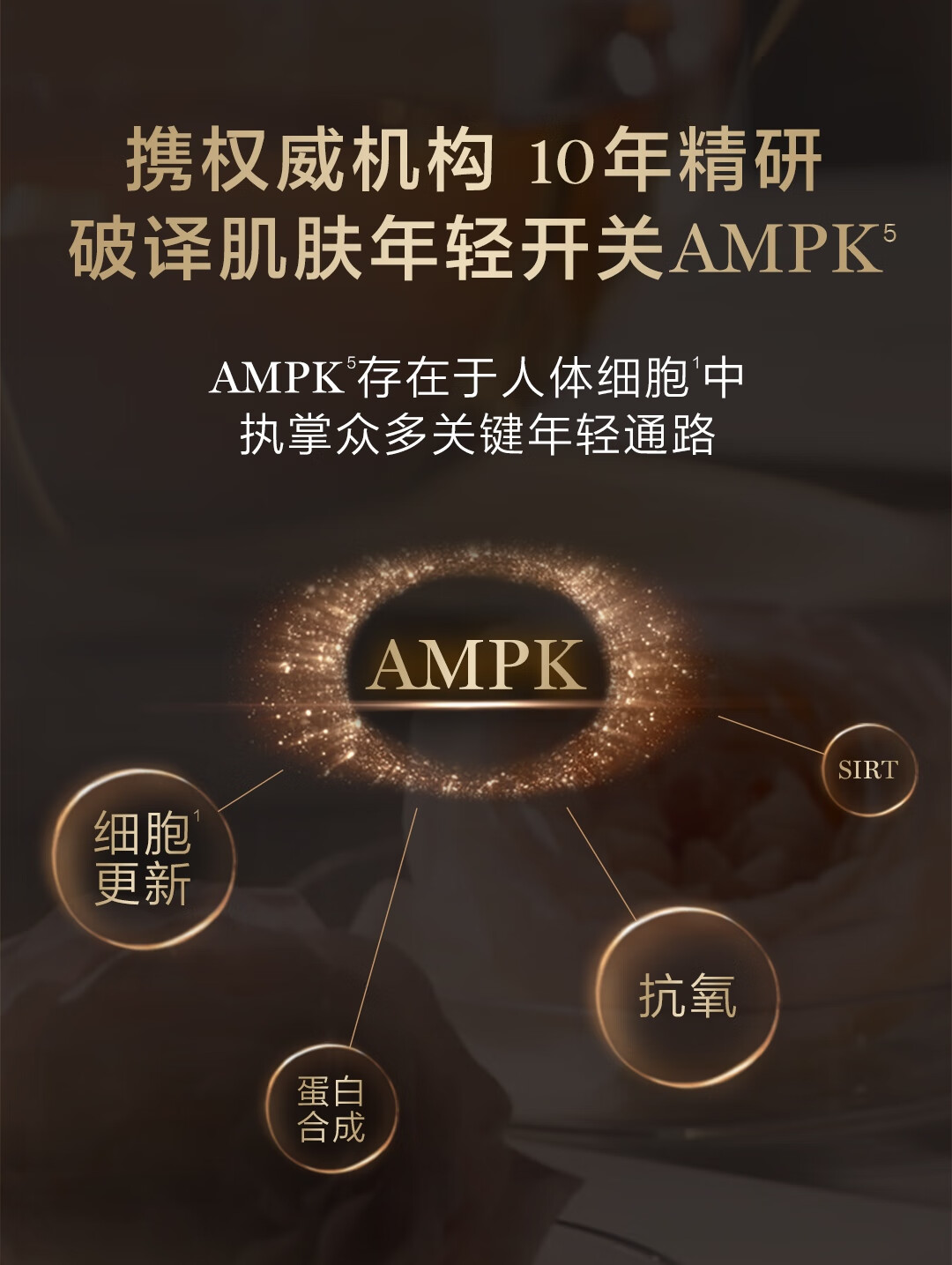 兰蔻菁纯眼霜20ml淡化细纹滋润 化妆护肤品套装礼盒女神节生日礼物女