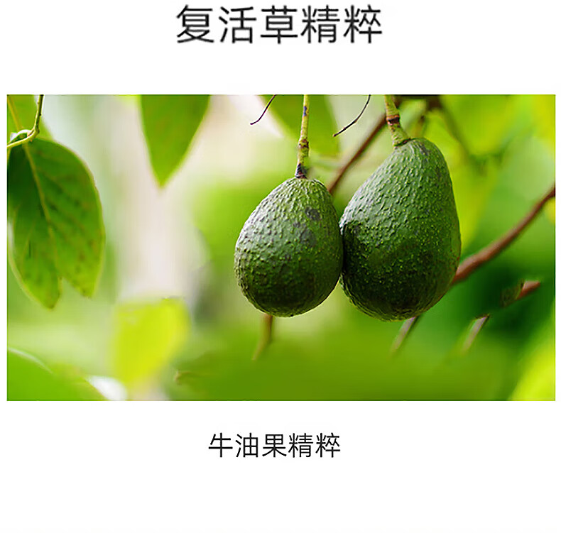 婷美bb霜女气垫遮瑕隔离提亮肤色保湿轻薄透气持久不脱妆亮采色1号