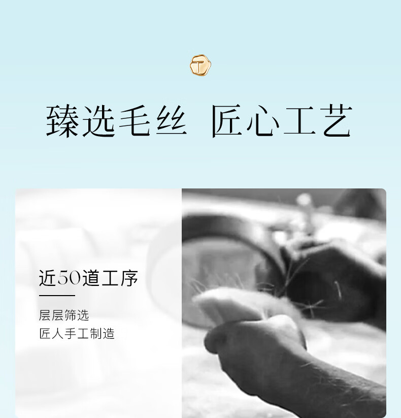 彩棠（TIMAGE）七夕礼物101扁弧形粉底化妆刷粉底修容腮红遮瑕眼影化妆刷