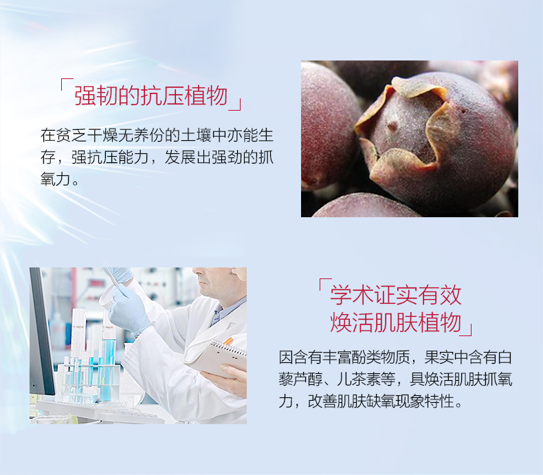 娇韵诗（CLARINS）进口美妆店 国际免税美妆 光芒小瓷瓶 精华液50ml 