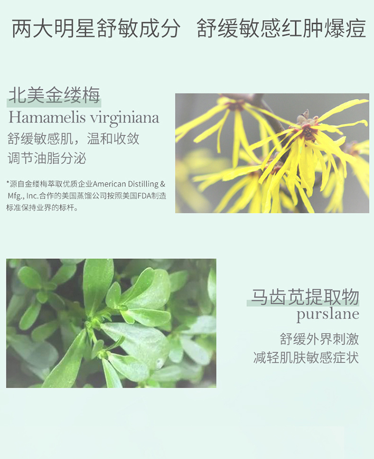 善草纪水乳套装 清影茶树控油修护茉莉补水保湿水乳套装礼盒送礼 【油皮】茶语清影礼盒