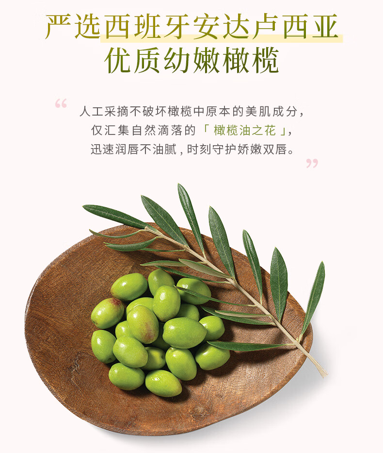 蝶翠诗（DHC） 橄榄组合 卸妆洁面呵护基础护肤化妆品组合保湿清洁 唇膏+ 精华油+化妆水+皂+小熊包