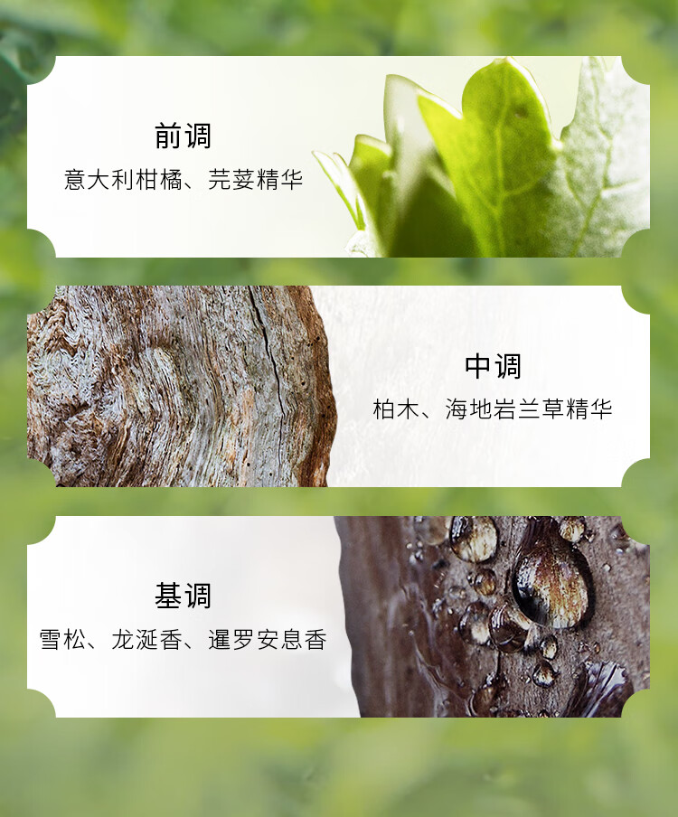 宝格丽（BVLGARI）绿意森林男士香水60ml 柑橘木质调男香 情人节礼物 送男友礼物