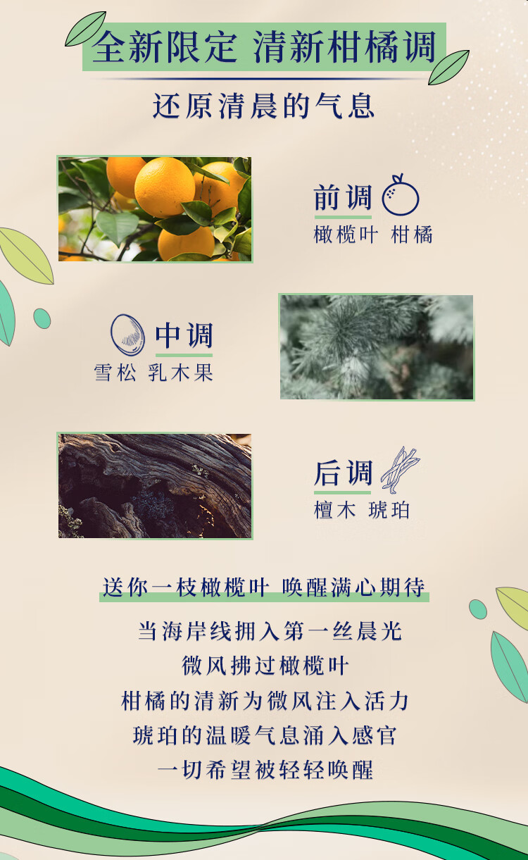 欧舒丹乳木果护手霜套装(日落琥珀+晨光叶语)轻盈滋润留香手部护理礼盒