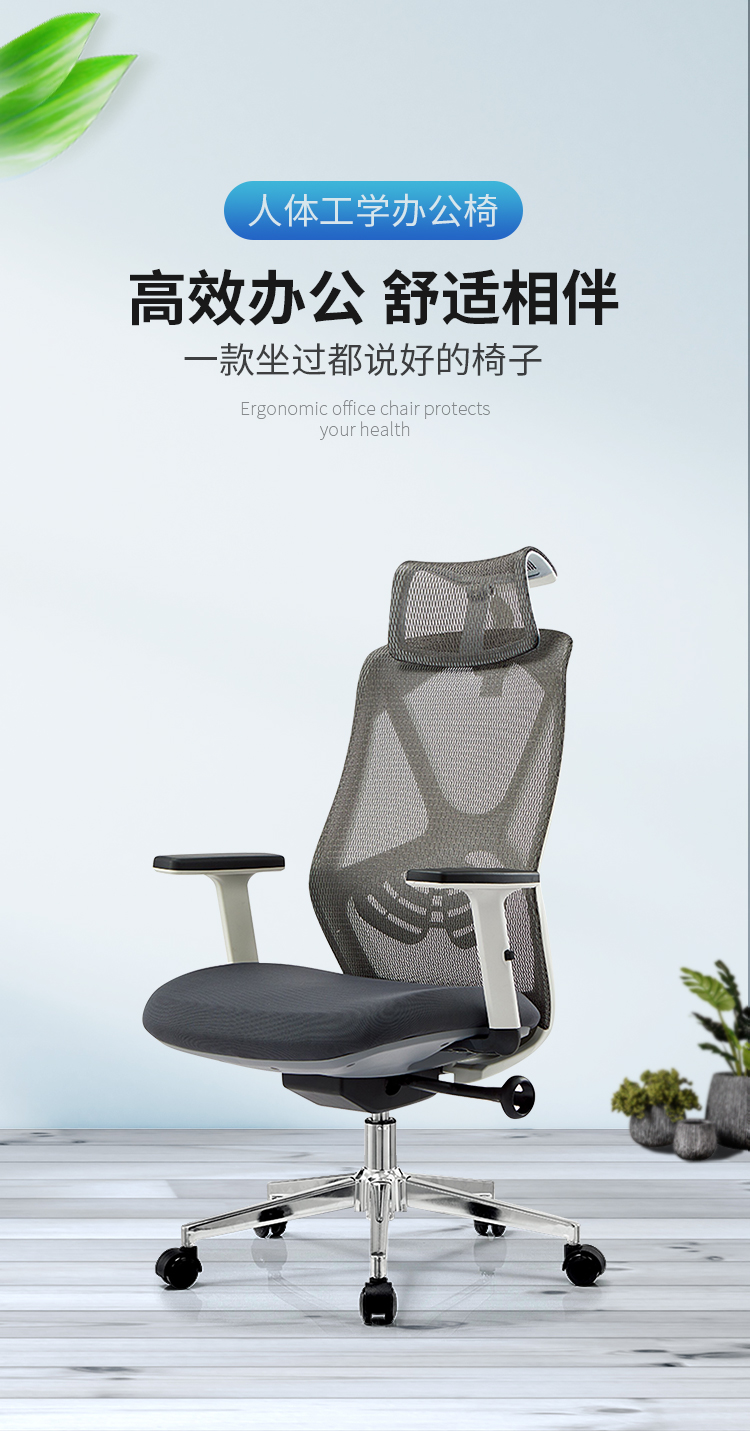 苏标人体工学椅电脑椅子办公椅可后仰锁定网椅家用学习椅转椅座椅老板椅会议椅A908k