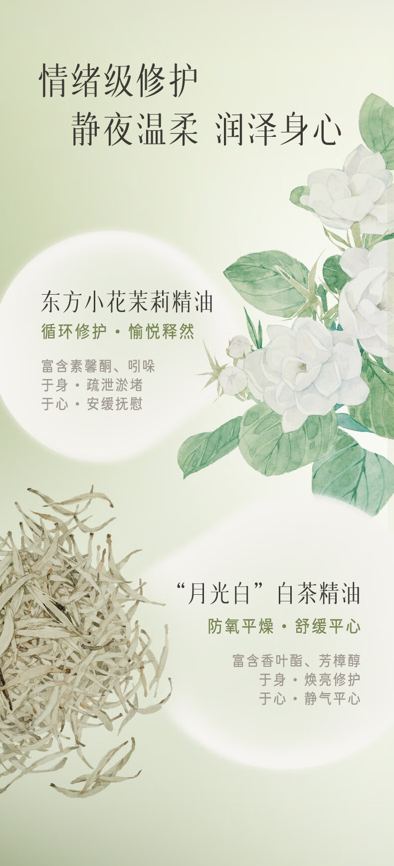 逐本不染茉莉白茶修护精华油舒缓保湿紧致滋润面部精油以油养肤15ml