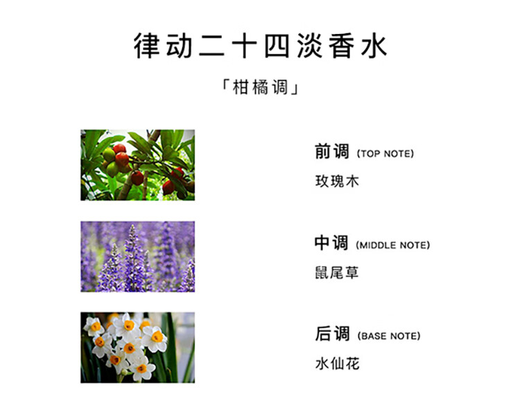 爱马仕（HERMES）律动二十四淡香水15ml「木质香调」 礼盒装 礼物 送男友
