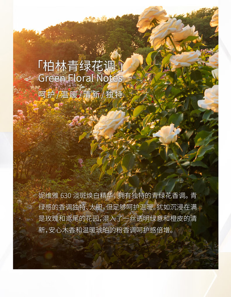 妮维雅【王星越同款】妮维雅630淡斑焕白精华30ml 美白精华祛斑去黄提亮 630精华+身体精华乳200ml