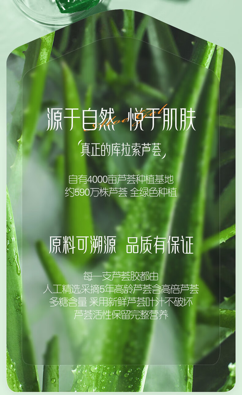 ORGINESE欧橘芦荟胶250g补水保湿凝胶起皮泛红淡化男女痘印痘坑面部
