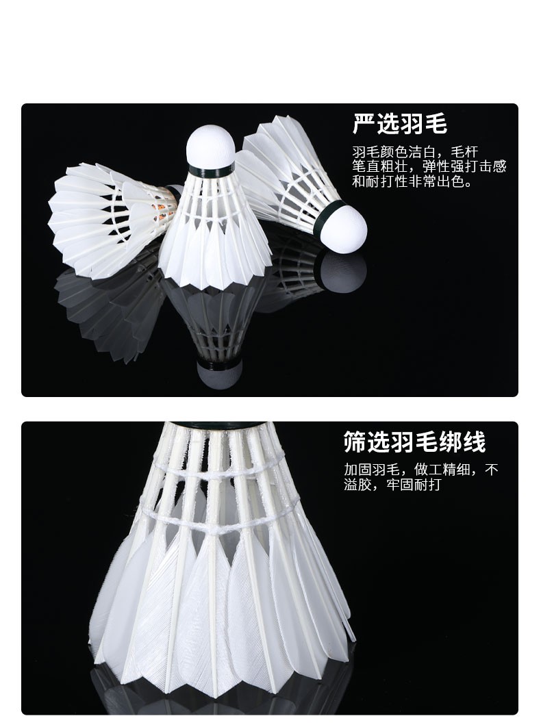亚狮龙羽毛球_RSL 亚狮龙 77速 SK7号 羽毛球 12只装 SK.NO.7