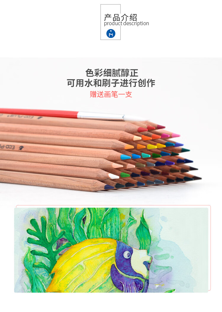 马可（MARCO）水溶彩色铅笔 原木系列48色 手绘填色初学绘画练习彩铅安心无漆筒装6120-48CT
