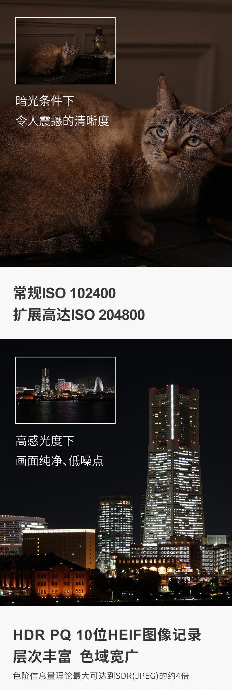 佳能（Canon）EOS R6 全画幅微单数码相机 单机身