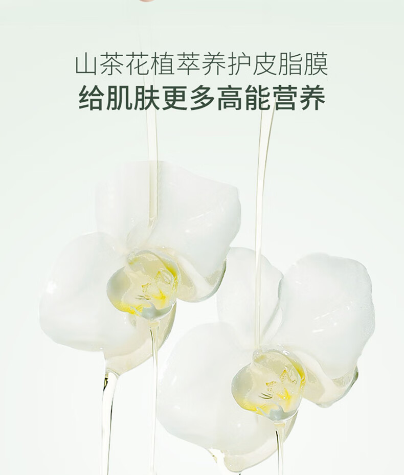 范泳辰山茶花氨基酸泡沫洗面奶温和清洁毛孔学生保湿控油男女通用洁面乳 山茶花洁面乳一瓶600ml+面膜