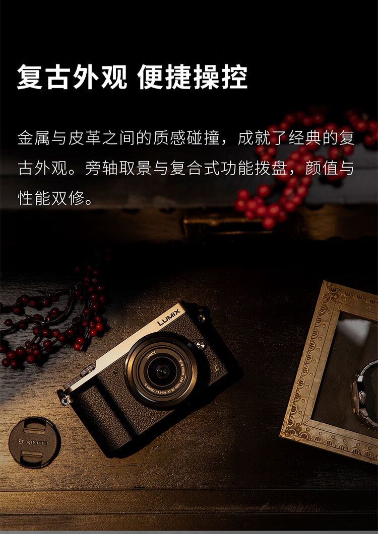 松下（Panasonic）GX9 微单相机 （GX85升级款）H-H025MGK镜头数码相机 复古旁轴相机 5轴防抖徕卡单色 黑色
