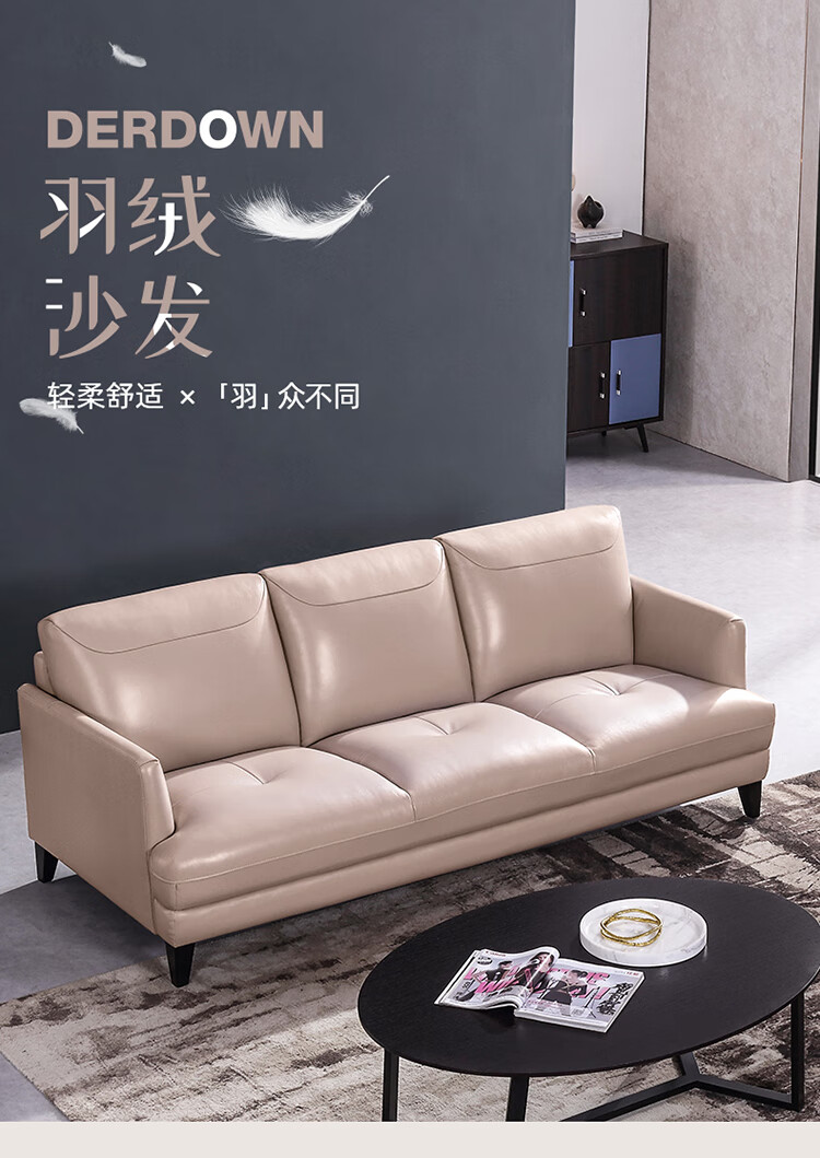 左右沙发 北欧真皮沙发大小户型客厅整装简约家具真皮沙发DZY6021 天空蓝C1021单人位