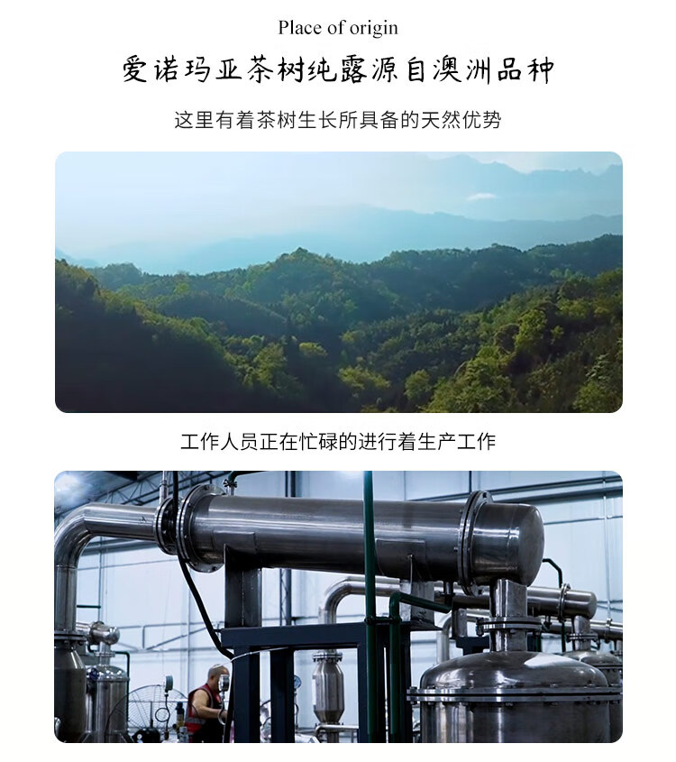 爱诺玛亚（AROMA）520ML 茶树纯露祛痘 祛痘爽肤水 天然喷雾 补水保湿 精华爽肤水