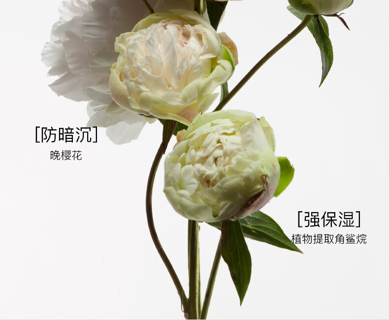 朱栈（red chamber）二代粉底液遮瑕持妆混油干油皮bb霜 泉01