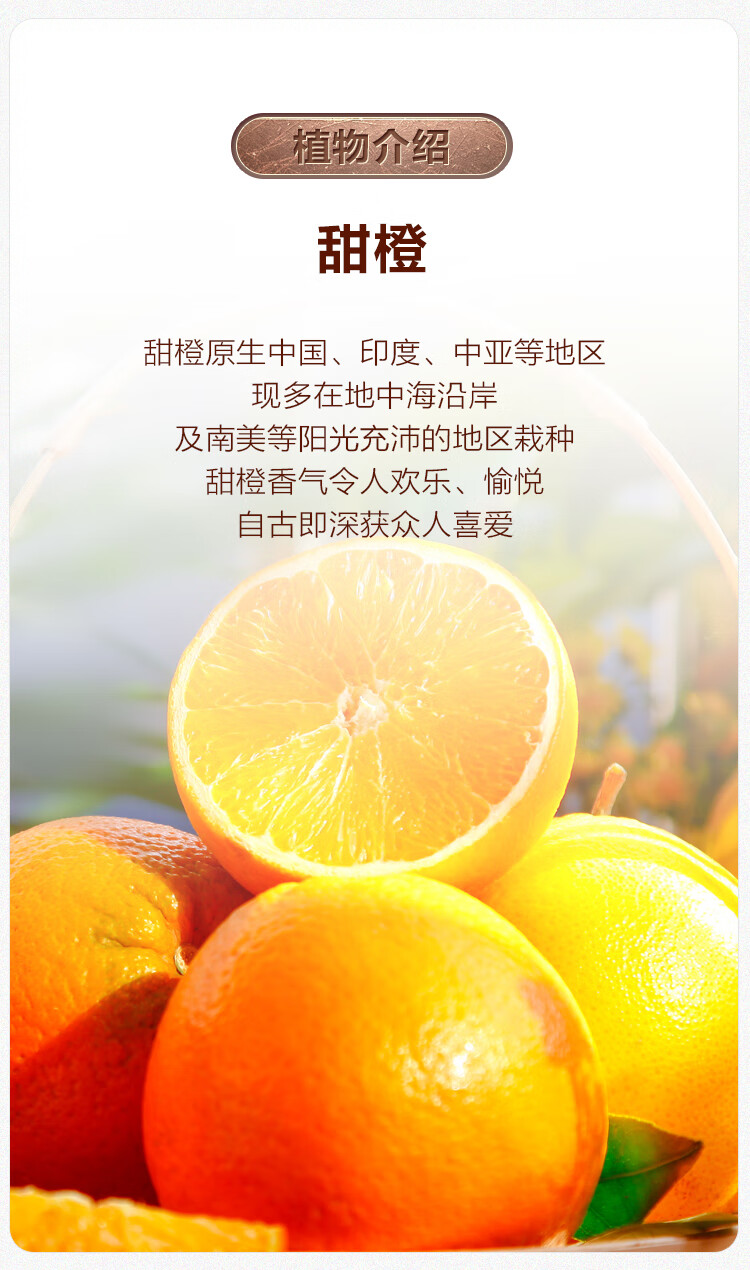 Oshadhi德国O家甜橙精油5ml单方精油香薰精油清新香甜面部护肤精油按摩油