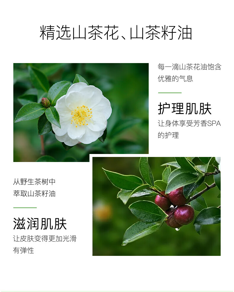 萨尼奇山茶油手足防皴香膏  滋润补水保湿修护防裂清爽滋润护手足唇 香膏12g 1个