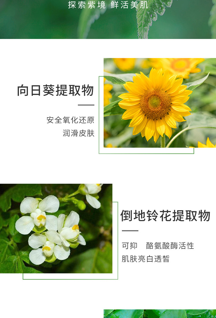 AHC男士水乳三件套紫苏洁面爽肤控油保湿补水送男女友情人节礼物礼盒 AHC男士四件套装