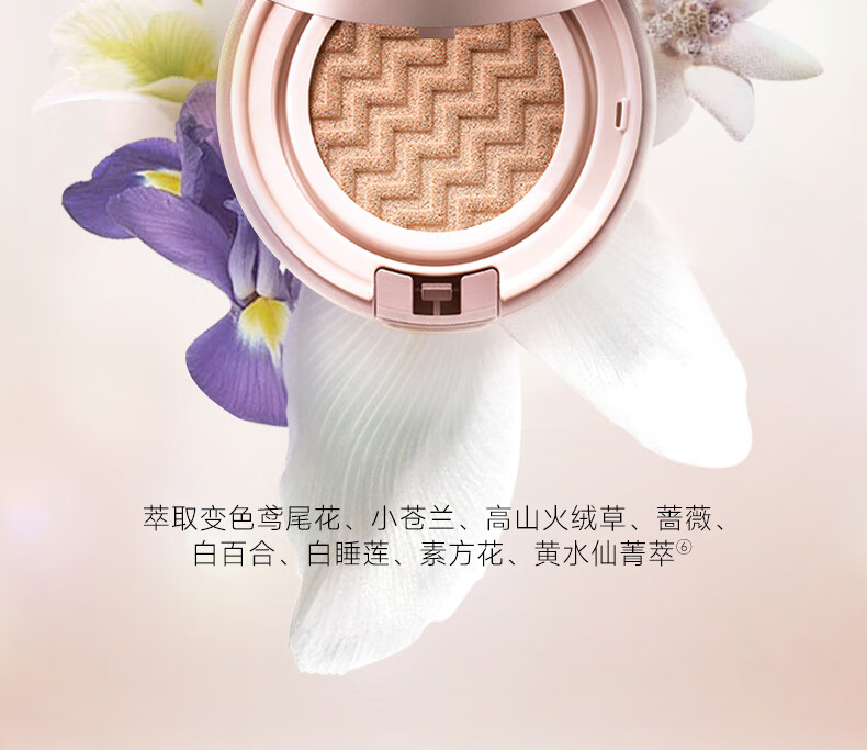 卡姿兰（Carslan）蜗牛气垫bb霜升级版水润遮瑕保湿持久02#柔缎色 13.5g*2新年礼物