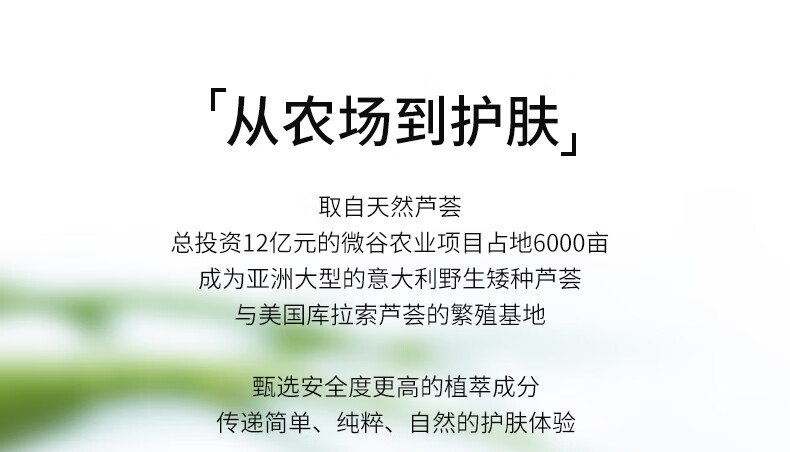 冰王芦荟胶清痘膏淡化痘疤青春痘女男士晒后保湿补水面霜产品30g