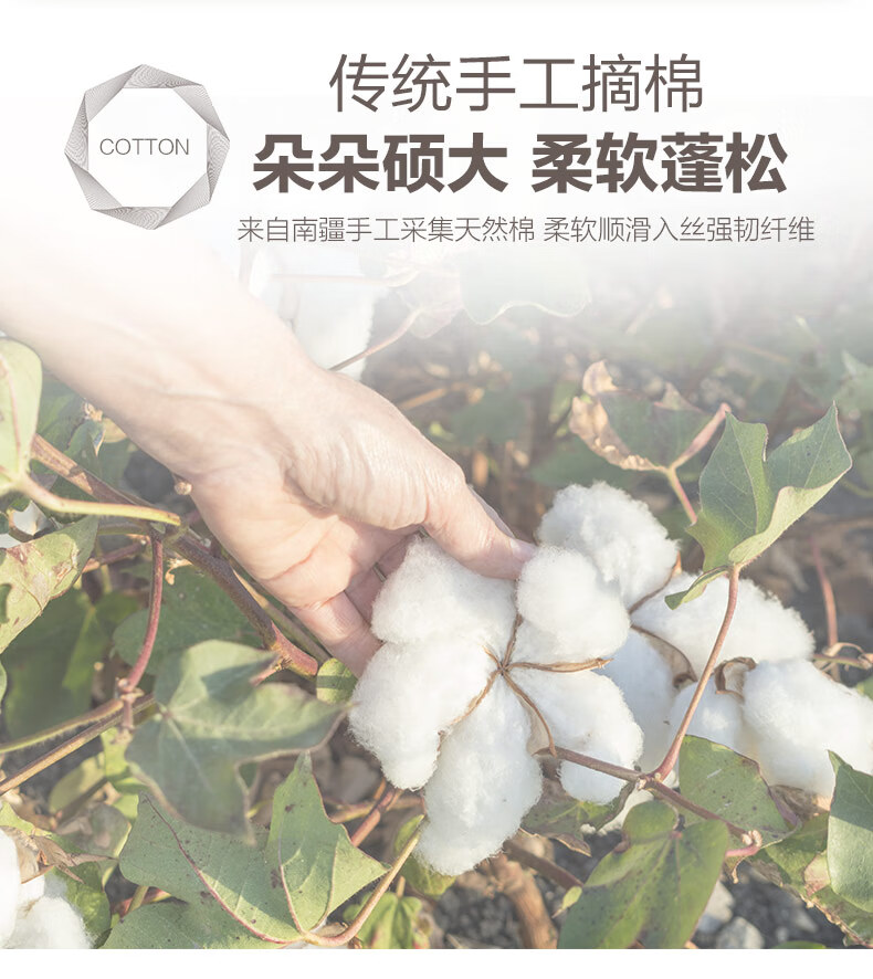 博洋W919153852001好吗？图文评测曝光