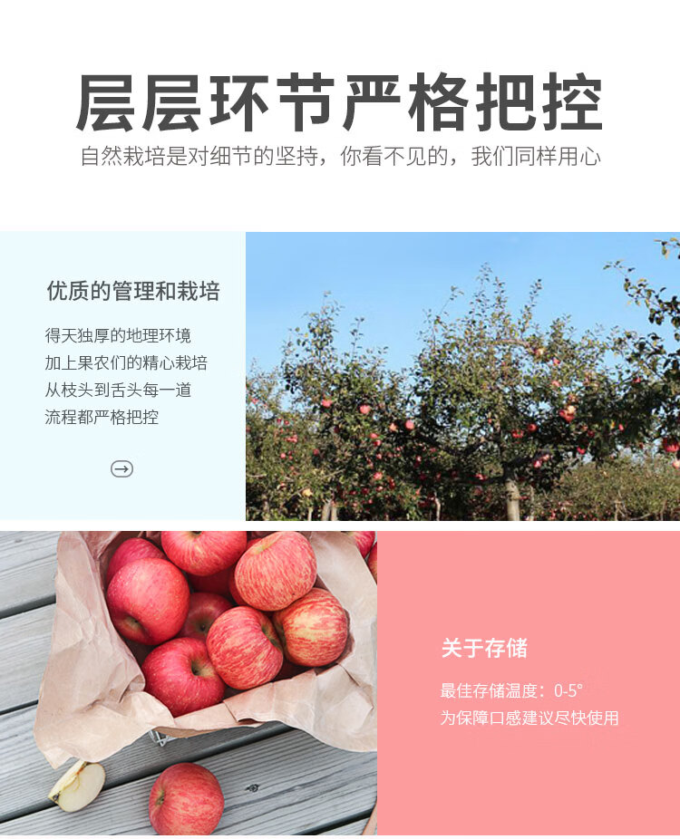京鲜生烟台红富士苹果5kg一级大果 单果220g以上 水果礼盒