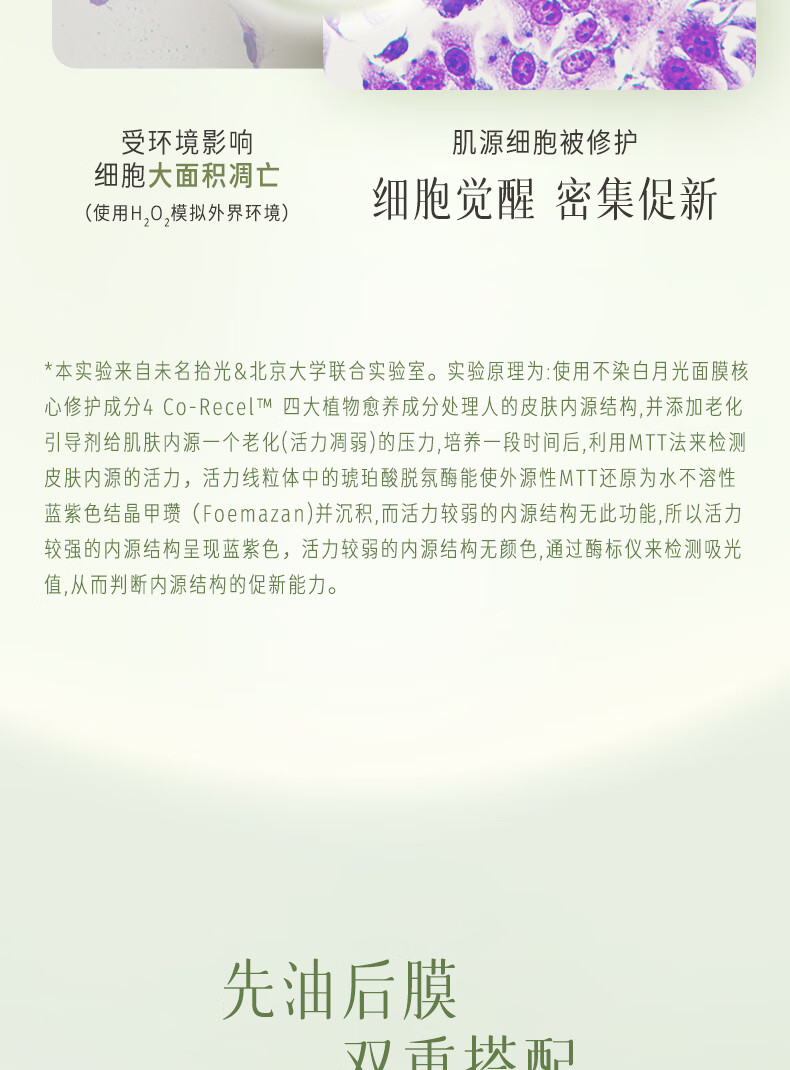逐本不染茉莉白茶面膜补水保湿舒缓修护焕亮贴片面膜3片/盒七夕节送礼