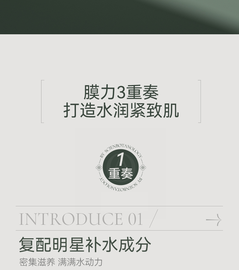AOEO山茶花倍润鲜肌精华涂抹面膜50g 保湿面膜送女友