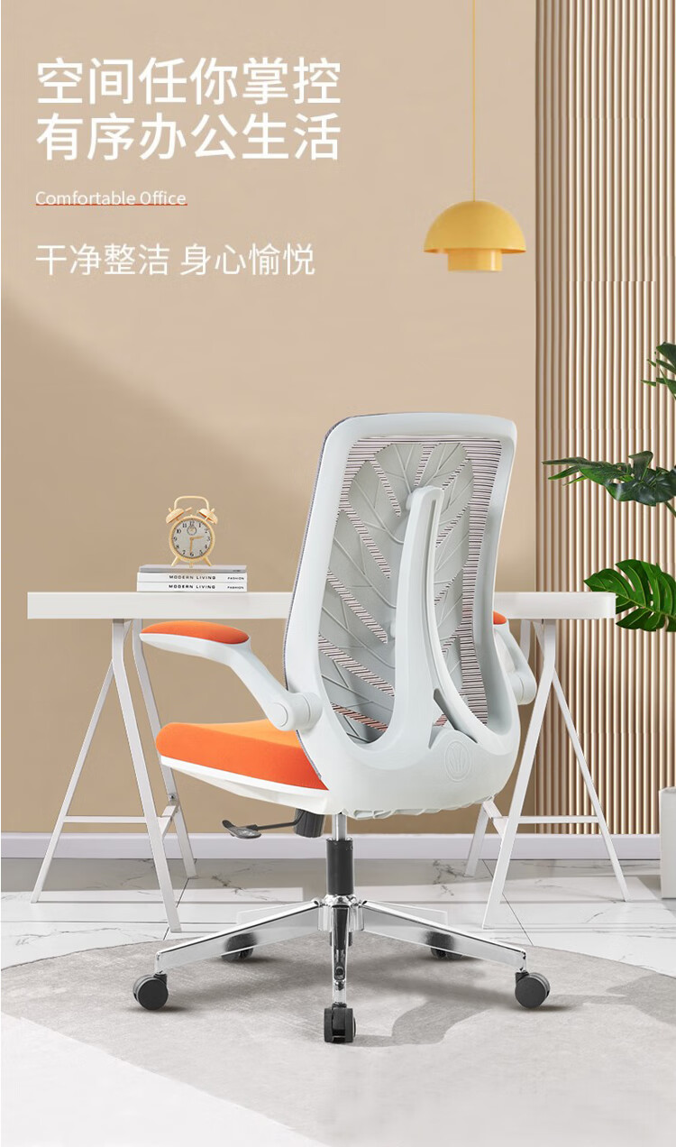 法果 办公椅 电脑椅家用小空间椅子舒适款逍遥座转椅升降办公椅网布人体工学椅