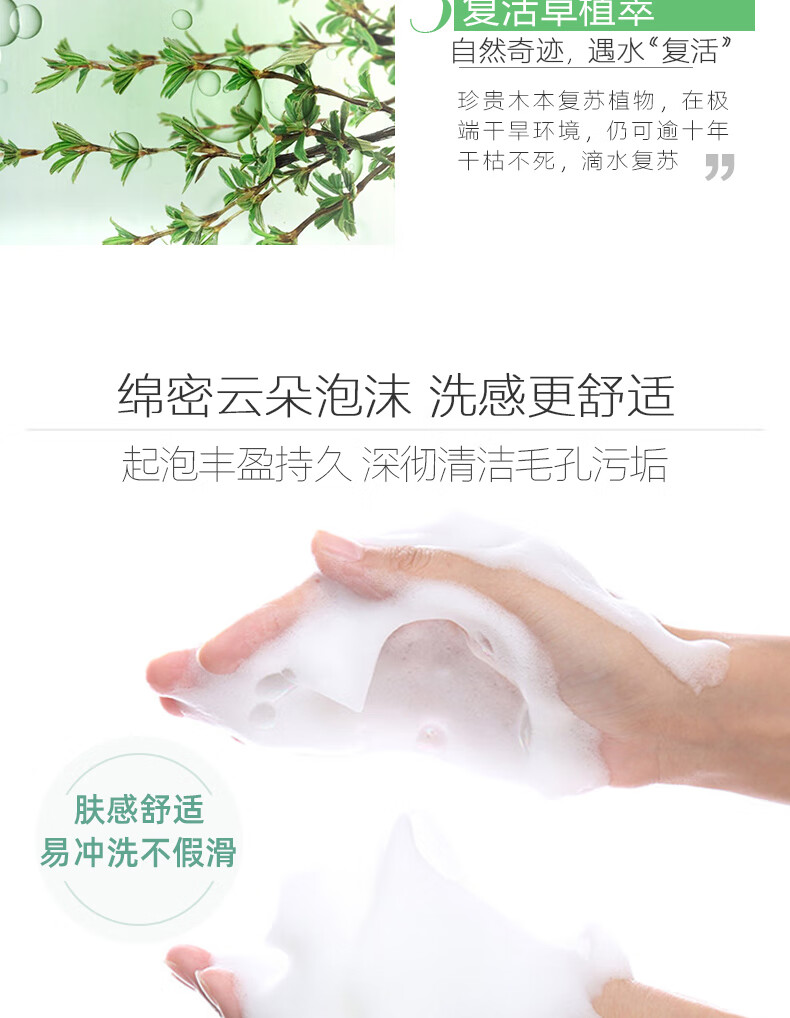春夏（SPRING&SUMMER） 南非复活草氨基酸型净柔洁面乳120g男士女士护肤品氨基酸洗面奶