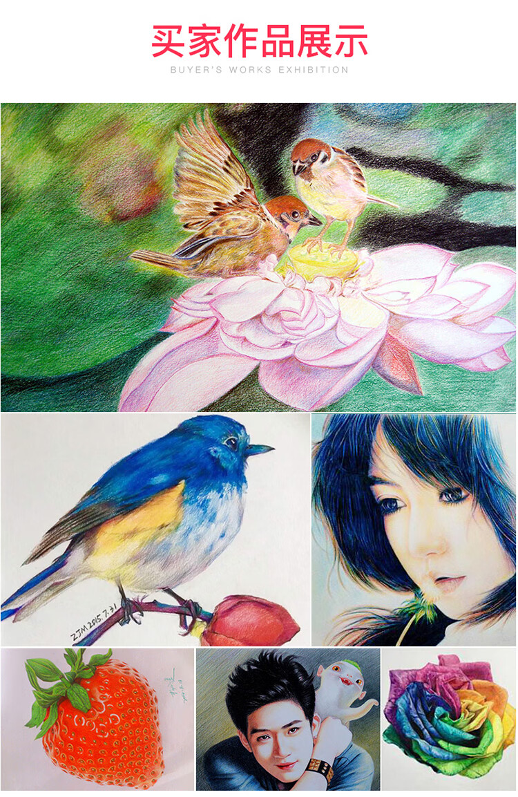 经典油性彩色铅笔_15.jpg
