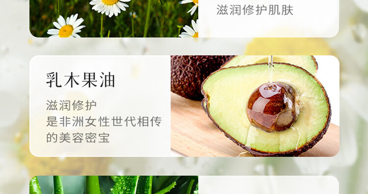 HERBACIN小甘菊护手霜玫瑰礼盒B（玫瑰75ml+20ml+唇膏4.8g）母亲节礼物