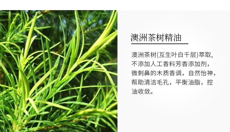 善草纪2代茶树套装 清爽控油收缩毛孔痘痘修护水乳护肤品新年礼物 茶树(洁面+水+乳)