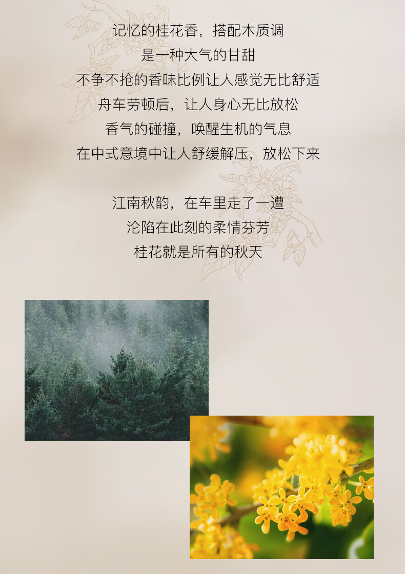 冰希黎（Boitown）车载出风口香薰梨木桂花高档汽车香水车内除味香氛送男女生日礼物