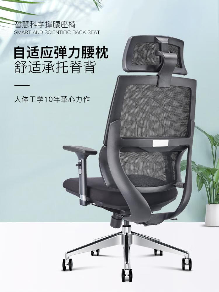 法果 FRAIGVO 办公椅法果 人体工学椅电脑椅学生家用舒适办公老板椅网椅可躺 426M