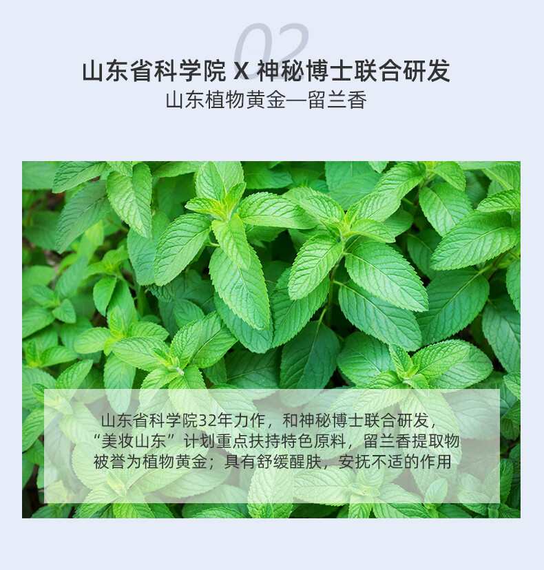 神秘博士（mystey doctor） 三重油橄榄精华液 留兰香调理积雪草沁润抚燥学生男女精华露 油橄榄留兰香精华30ml