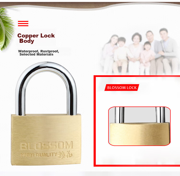 Замок BLOSSOM Copper Padlock, водонепроницаемый и устойчивый к ржавчине, для дома, общежития, шкафов и дверей, антивандальный оконный замок, 55 мм (076)