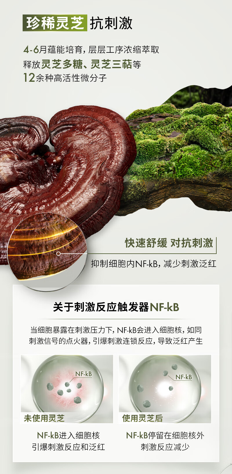 悦木之源（Origins）菌菇水400ml灵芝精华爽肤水油痘敏感肌湿敷补水保湿控油新年礼物
