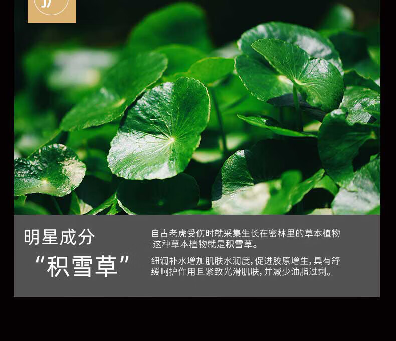 UNIO积雪草洗面奶毛孔控油清痘补水网红氨基酸洁面乳温和不刺激300ml