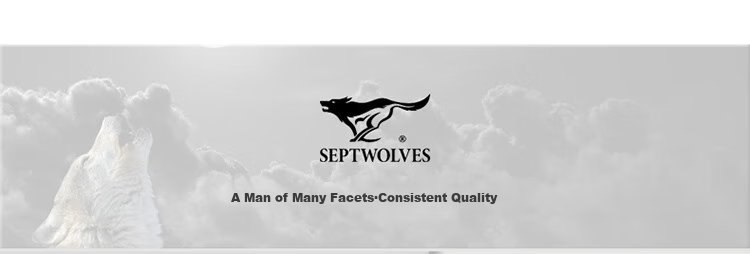 Мужские кроссовки SEPTWOLVES, повседневные, из натуральной кожи, белые с серым, размер 41